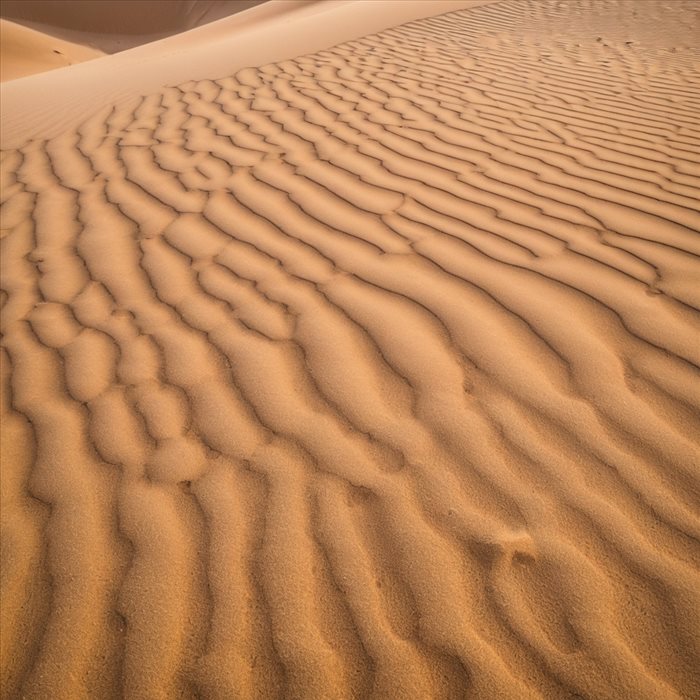 Dubaï : Les Enjeux du Tourisme Durable en Question
